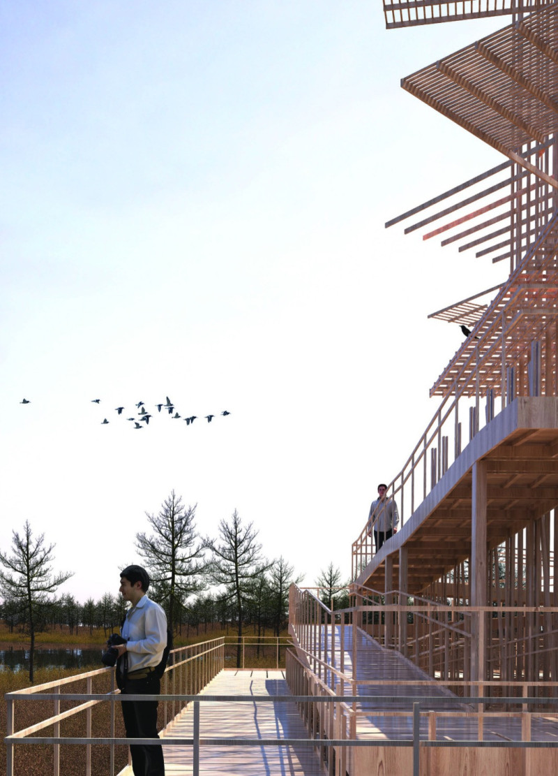 Lattice Structure Made of Sustainable Timber Showcasing Elevated Views Over Coastal Wetlands