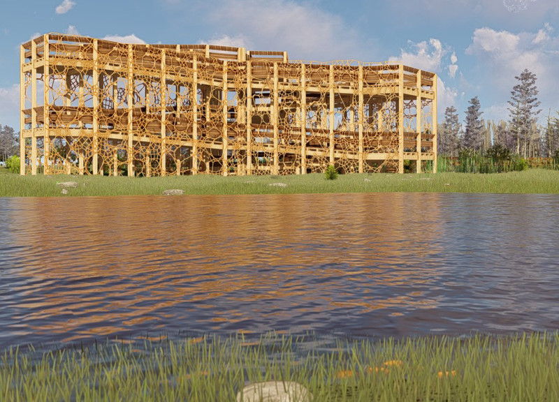 Birch Branch Envelope Envelops Local Timber Structure With Inclusive Ramping for Nature Observation