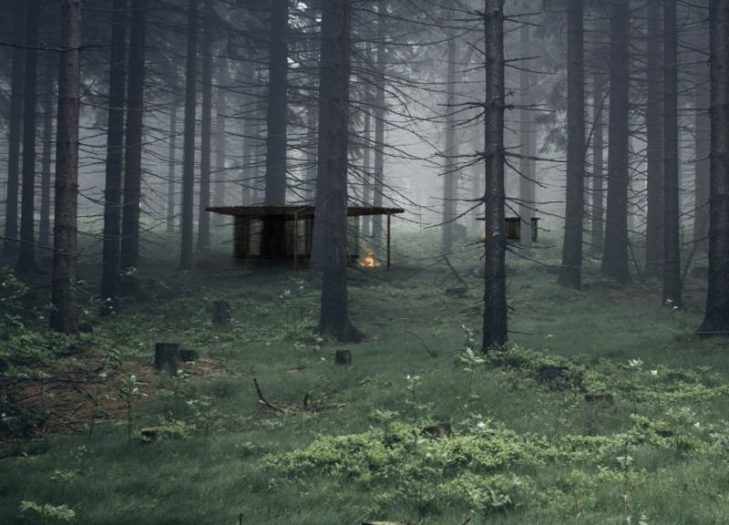 Circular Cabins with Thatched Roofs in a Forest Sanctuary Using Local Timber