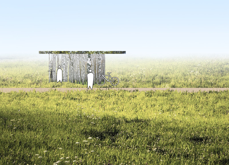 Curvilinear Shelters Crafted From GluLam Timber Enhancing Urban Cycling Infrastructure