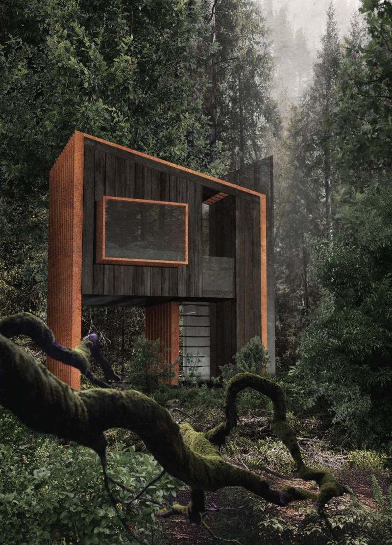 Charred Wood Retreat Embracing Natural Light in a Forest Setting  