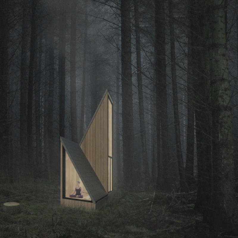 Residential retreat featuring cross-laminated timber and charred wooden shingles seamlessly integrated into a forest setting  