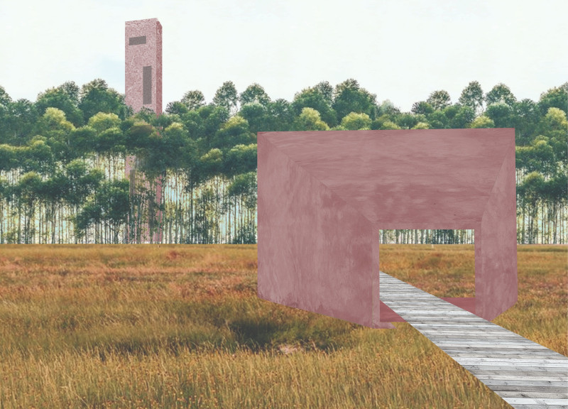 Cross-Laminated Timber and Scented Pathways in a Wetland Visitor Center