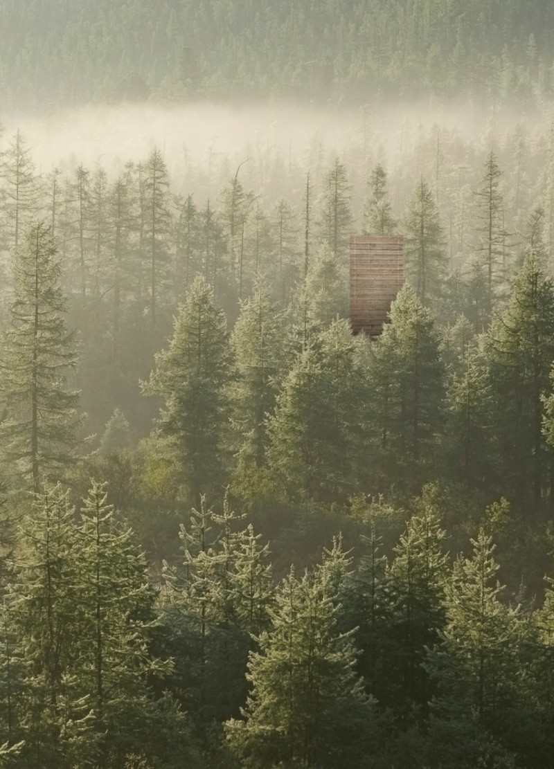 Charred Wooden Shingles and Cross-Laminated Timber Panels in an Elevated Forest Retreat
