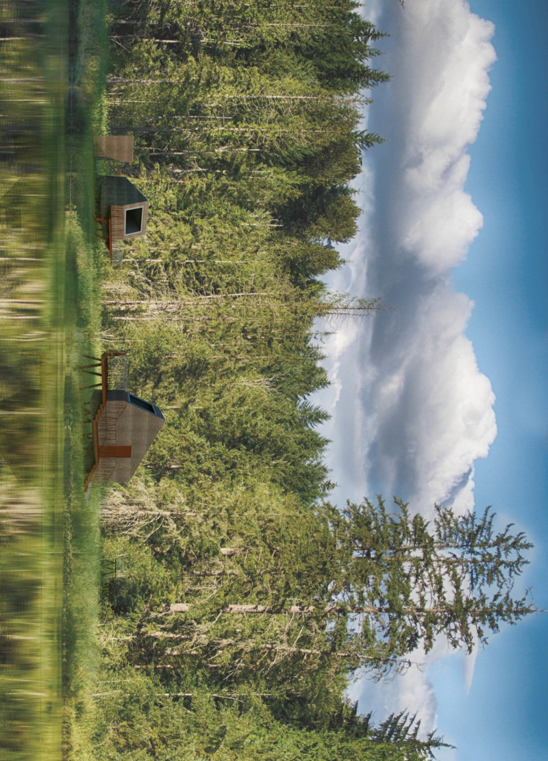 Charred Wooden Shingles and Cross-Laminated Timber Create a Sanctuary for Reflection  