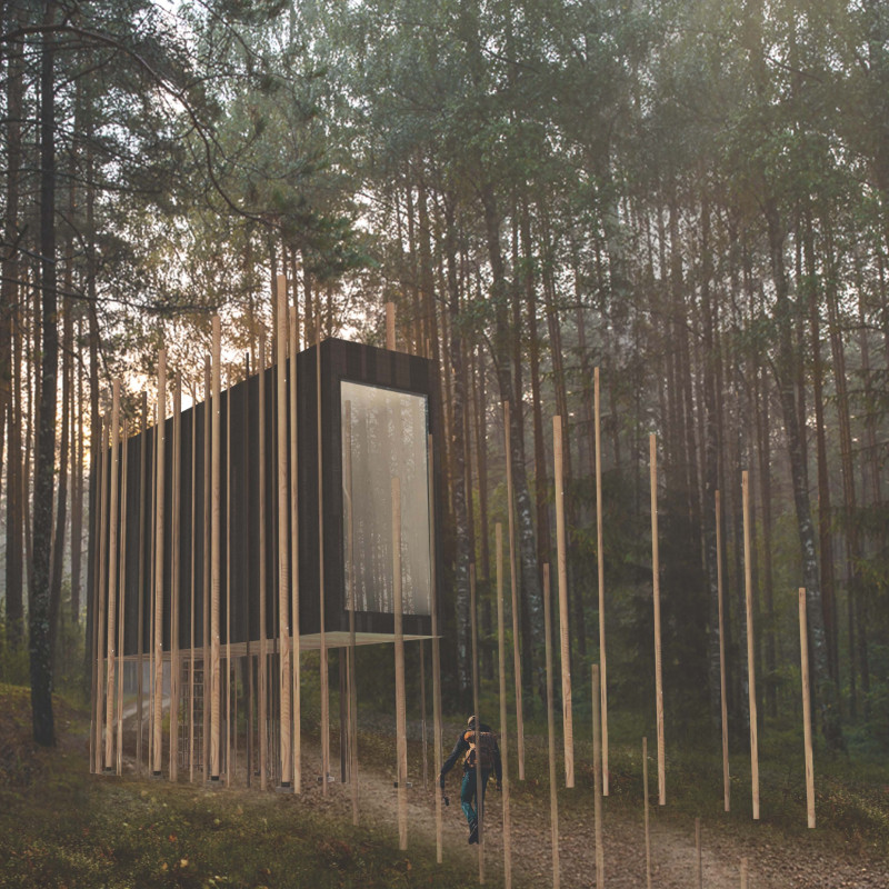 Elevated Shelter Crafted from Soft Maple and Glass for Mindful Retreat in Forest Setting