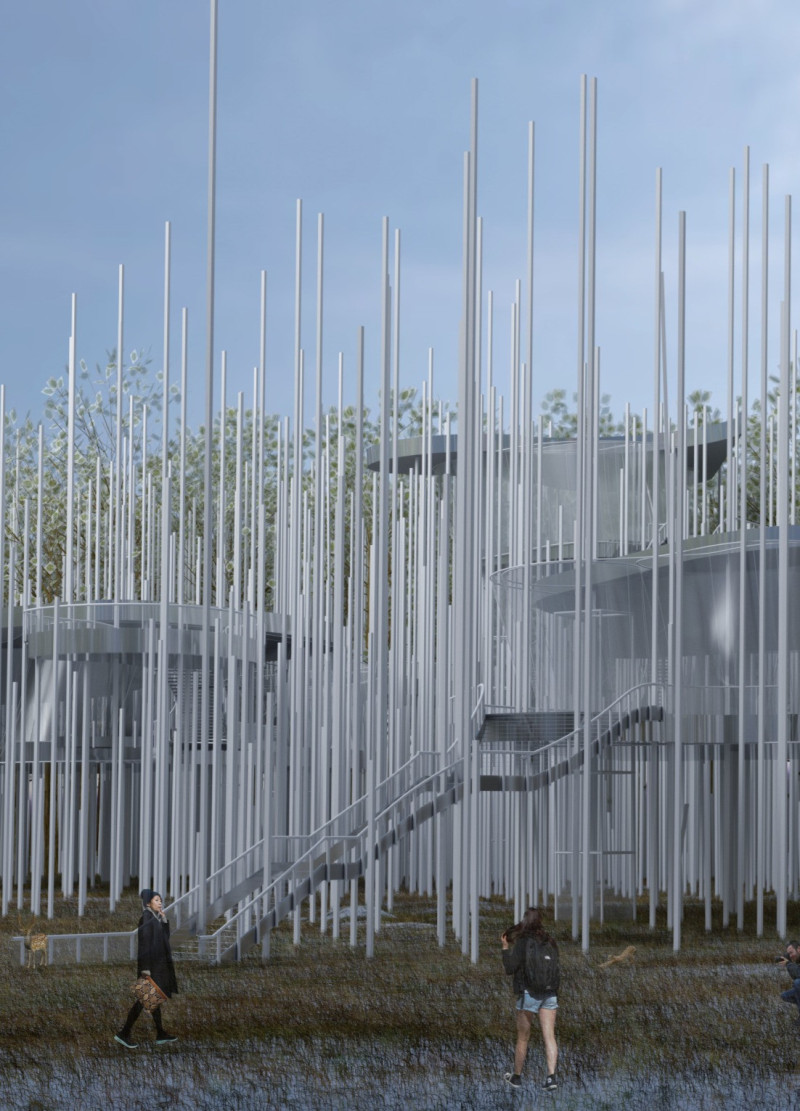 Cross-Laminated Timber Canopies Blending Nature and Space in a Visitor Center