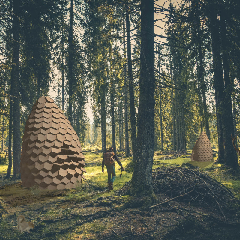 Hexagonal Thermo-Wood Retreat Embracing Forest Immersion and Natural Light