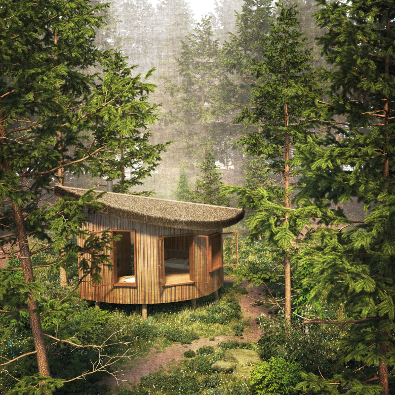 Thatch-Roofed Retreats Crafted from Natural Timber in a Tranquil Woodland Setting  