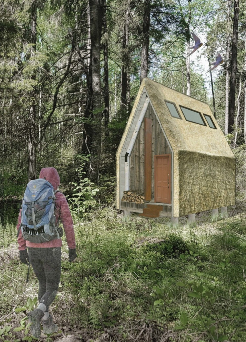 Cross-Laminated Timber Retreat Embracing Natural Elements Within a Forested Landscape