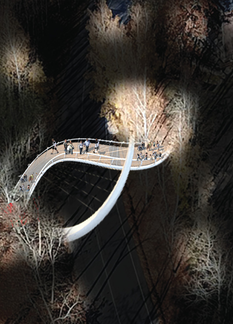 Suspended Pathway Crafted From Steel Cables and Natural Wood Integration Within a Scenic Landscape