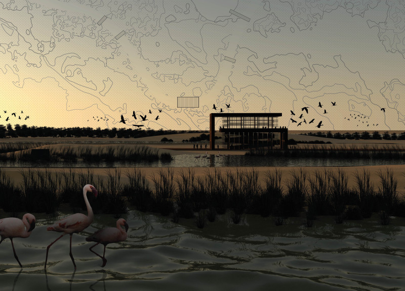 Observation Tower Constructed with Cross-Laminated Timber and Charred Wooden Shingles Enhancing Wildlife Engagement in a Wetland Reserve  