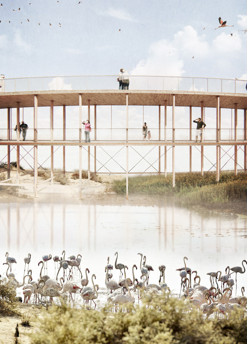 Sustainable Lapacho Wood Pathways Elevate Environmental Observation Spaces in Brazilian Wetlands