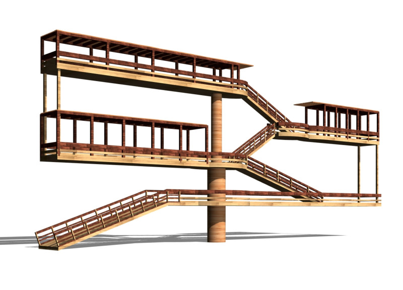 Bamboo and Timber Canopy Offering Elevated Perspectives in a Natural Environment