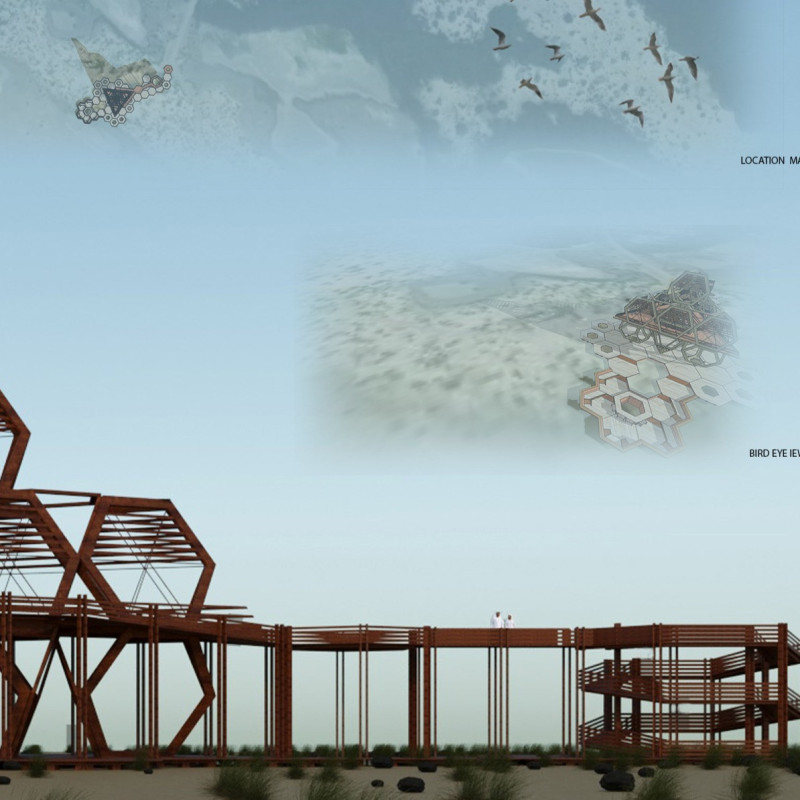 Sunken Timber Observation Tower Enhancing Birdwatching in Wetland Ecosystems