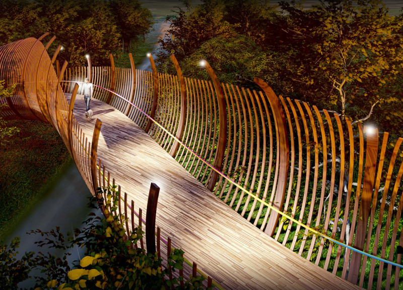 Curved Timber Footbridge Enhancing Biodiversity Through Natural Integration