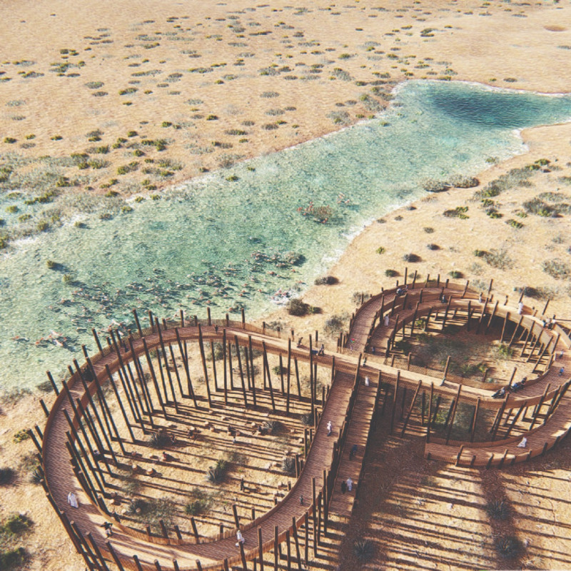 Curvilinear Observation Point Featuring Sustainable Timber Integration in Ecological Marshlands