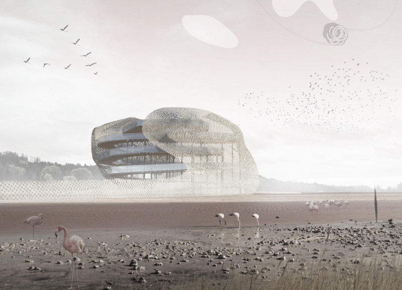 Lattice-Faced Structure Crafted From Cross-Laminated Timber Overlooking a Flamingo Habitat