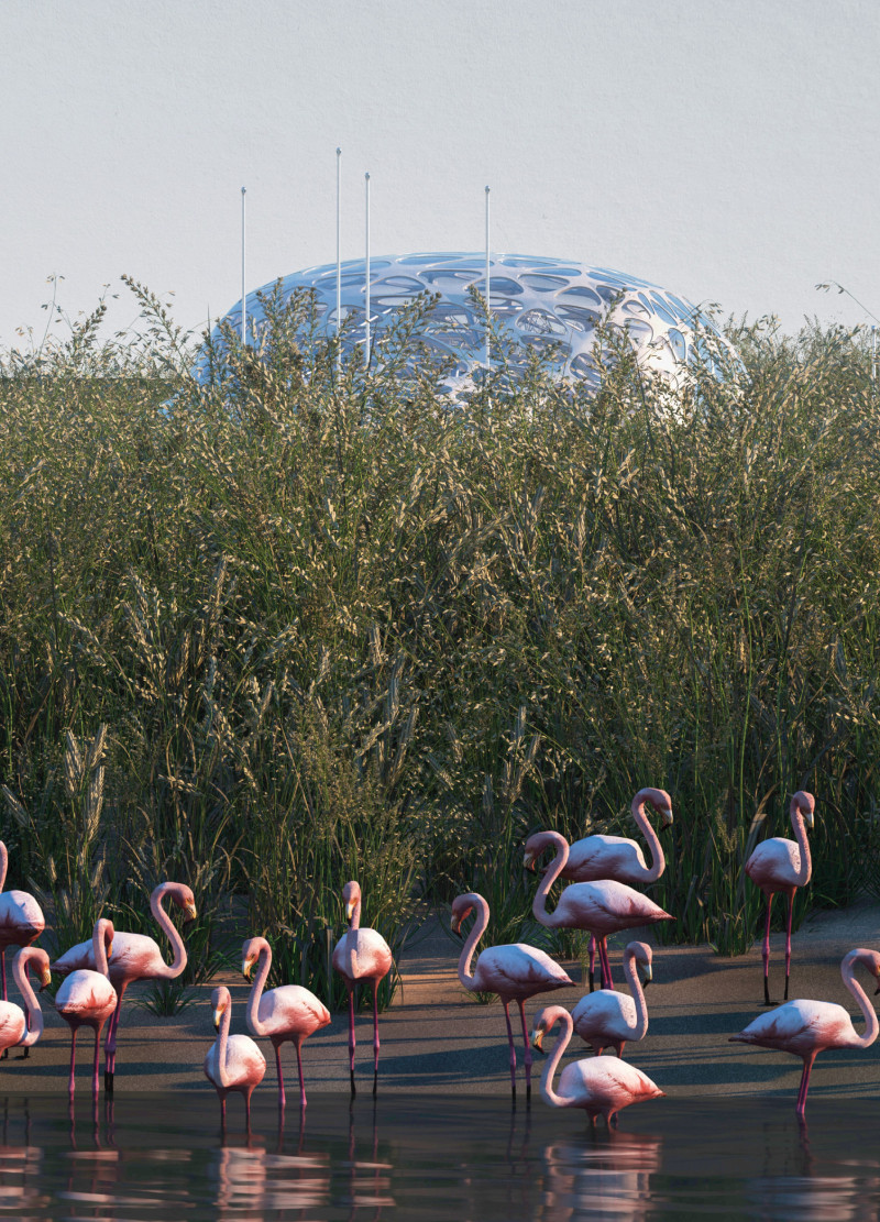 Inflatable Membranes and Cross-Laminated Timber Create a Semi-Submerged Wildlife Observation Vessel