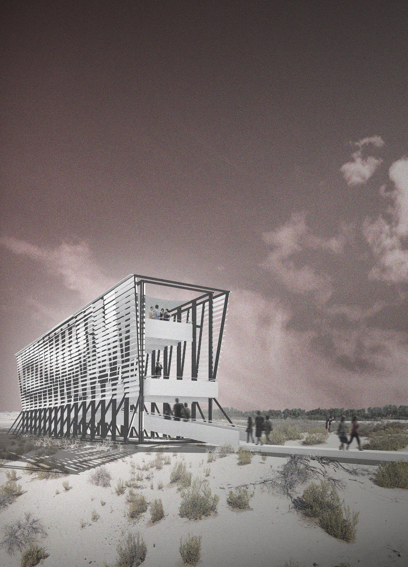 Bleached Wood Pathways Merging With Wetlands for Engaging Nature Observation