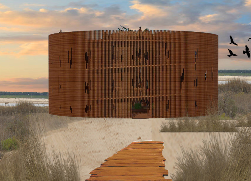 Elevated Observation Deck Crafted From Cross-Laminated Timber Panels Nestled Within a Vibrant Wetland Habitat