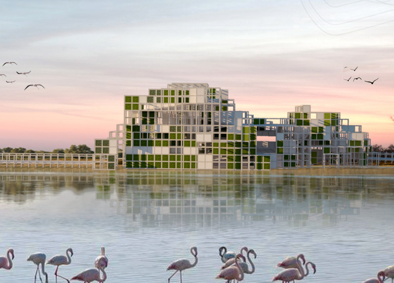 Cross-Laminated Timber and Grass Panels Create a Community-Engaging Observation Point in a Wetland Reserve