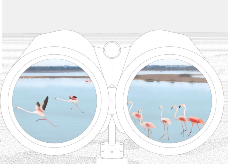 Binocular-Equipped Pathway of Light-Colored Concrete Enhancing Ecological Engagement