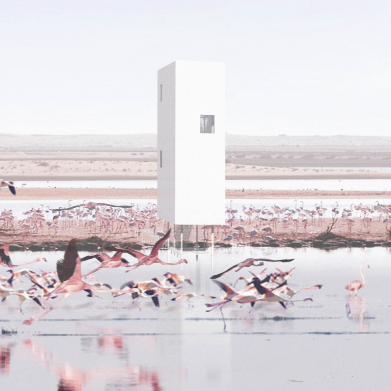 Elevated Steel Framing and Aluminum Cladding in a Bird Observation Tower  
