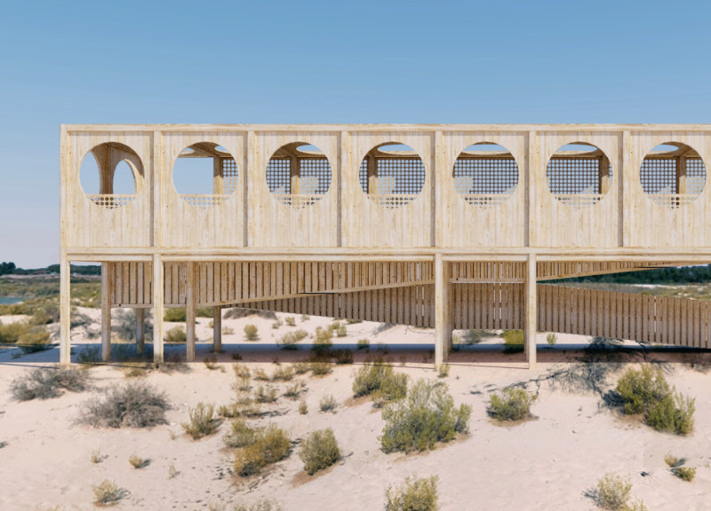 Elevated Viewing Platform Crafted from Sustainable Timber and Concrete Emphasizing Wildlife Observation in Abu Dhabi Wetlands