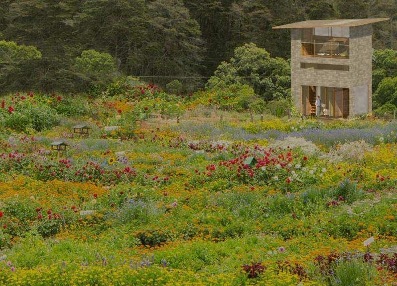 Elevated Living Space Crafted From Compressed Earth Blocks With Integrated Rainwater Harvesting  