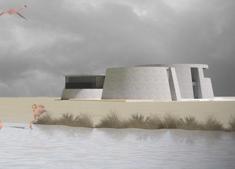 Flamingo-Inspired Spaces Enhanced by Reinforced Concrete and Expansive Glass in Wetland Environments