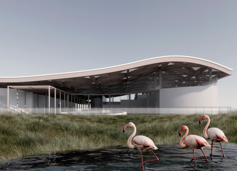 Fluid ETFE Roof and Natural Light Integration in Sustainable Wetland Education Center
