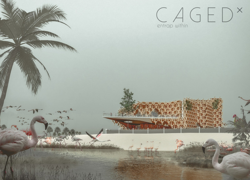 Charred Wooden Shingles and Geometric Design Shape a Sustainable Observation Space in Wetland Habitat