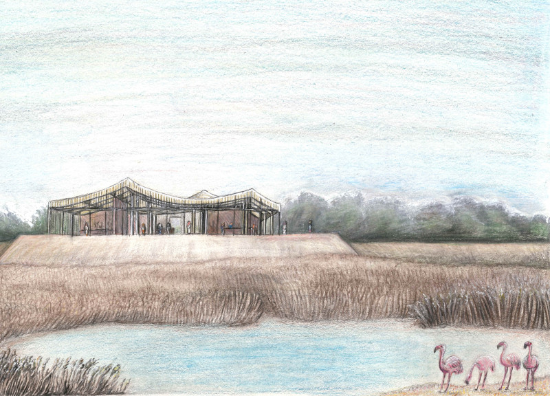Visitor Center Crafted from Whitewashed Timber and Earth-Toned Ceramic Tiles Integrating Natural Ventilation in a Sustainable Wetland Setting