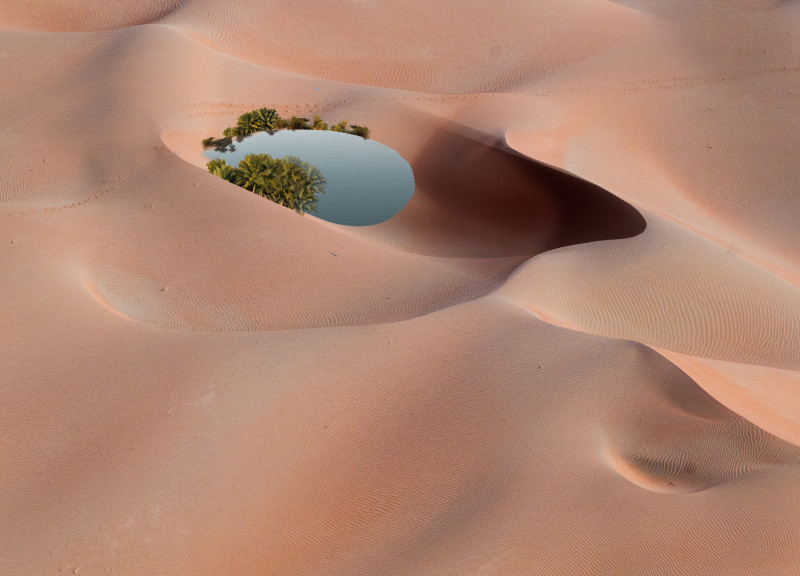 Biodegradable Wood Lodges Blending Curved Forms With Natural Desert Surroundings