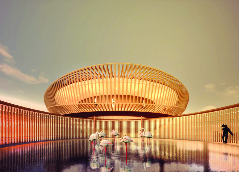 Curved Viewing Platforms Crafted from Sustainable Timber in a Biodiversity-Focused Habitat