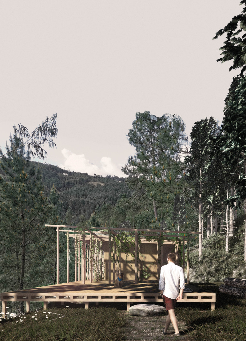 Cork and Timber Sanctuary Blending with Nature for Holistic Wellness