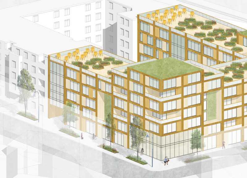 Charred Wooden Shingles and Green Roofs Enhance Sustainable Community Living