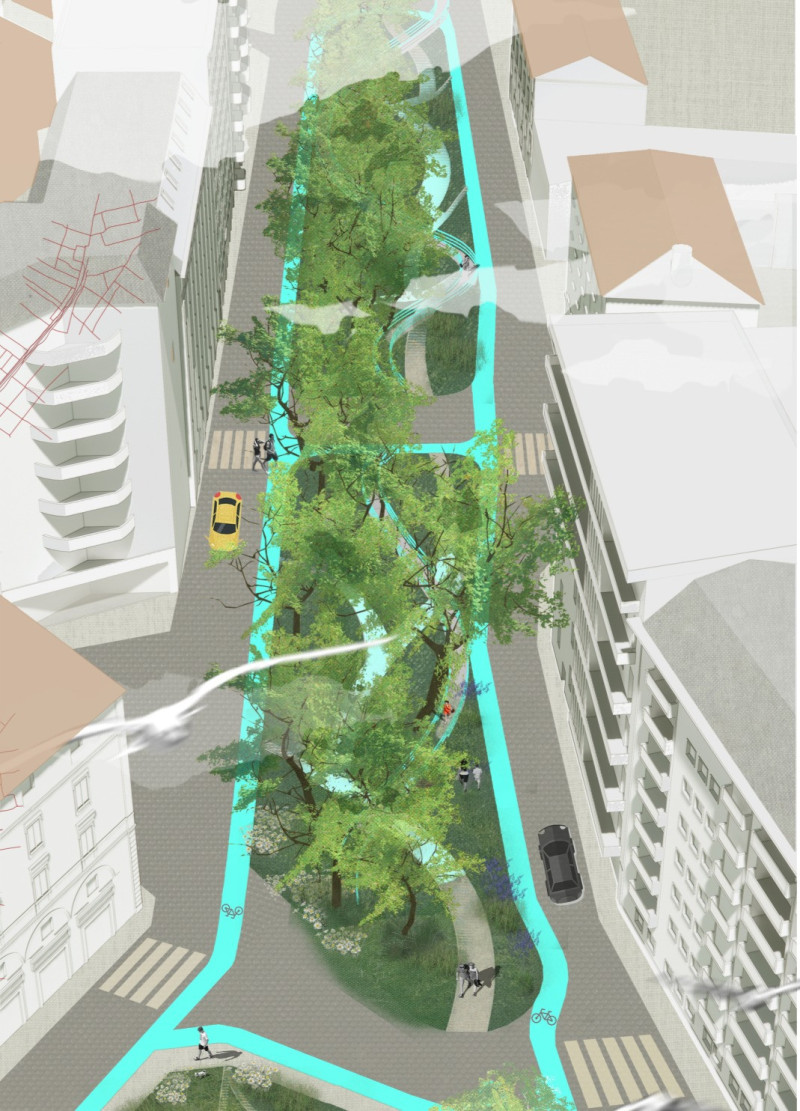 Permeable Pathways Enhanced By Native Vegetation And Natural Stone Integration In Urban Ecosystem