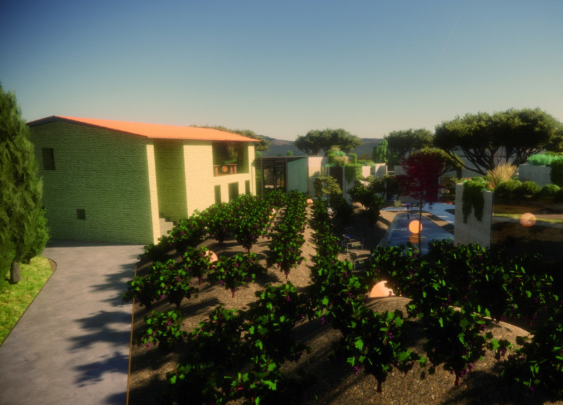 Natural Light-Filled Bungalows with Green Roofs and Sustainable Wood Elements in a Vineyard Setting