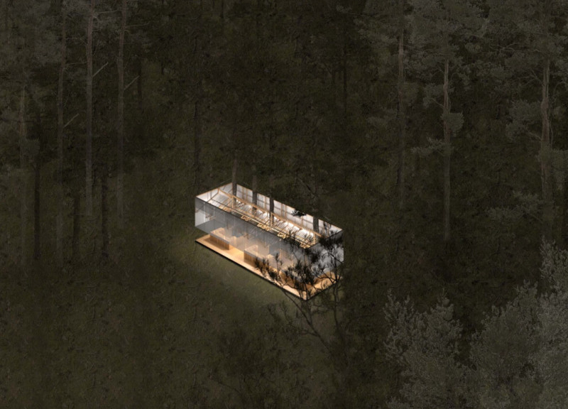 Suspended Glass Canopy of Cross-Laminated Timber Panels Nestled in a Forested Gathering Space