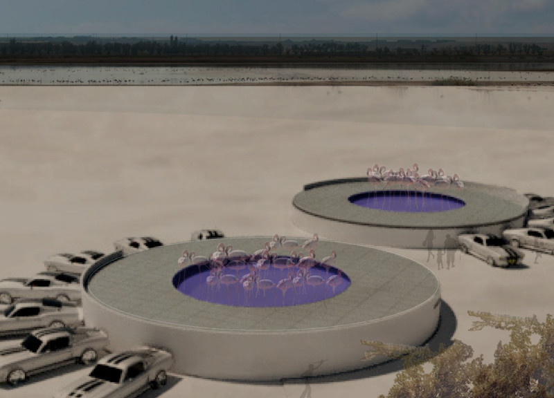 Circular Forms of Fair Faced Concrete and Metal Enhance Visitor Experience in Wetland Reserve