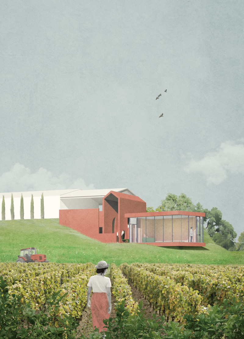 Red Brick and Glass Winery Embracing Vineyard Views with Multi-Sensory Engagement  