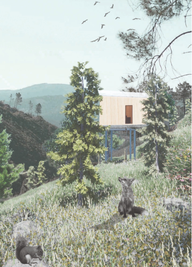 Elevated Forest Pods Crafted from Timber and Solar Panels for a Sustainable Retreat  