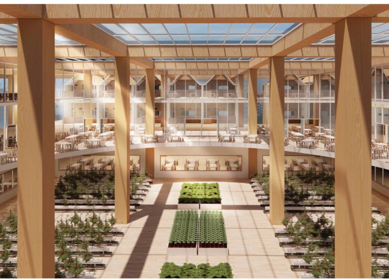 Vertical Hydroponic Farm Integrated with Cross-Laminated Timber Panels in a Flexible Urban Workspace  