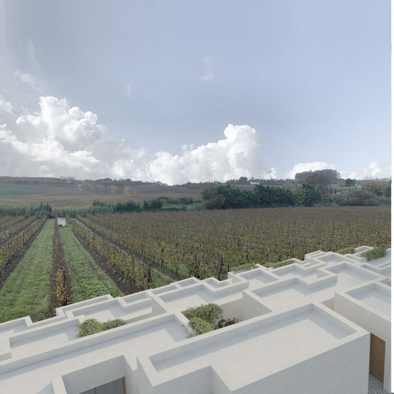Terraced Landscapes of Local Stone and Wood Crafted Communal Spaces Overlooking Vineyards
