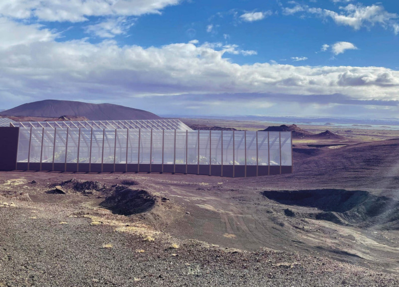 Natural Light-Filled Greenhouses Constructed with Polycarbonate Panels and Timber Framework for Community Agriculture