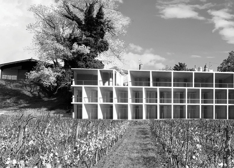 Charred Wooden Shingles and Expansive Glass Facades in a Serene Vineyard Retreat