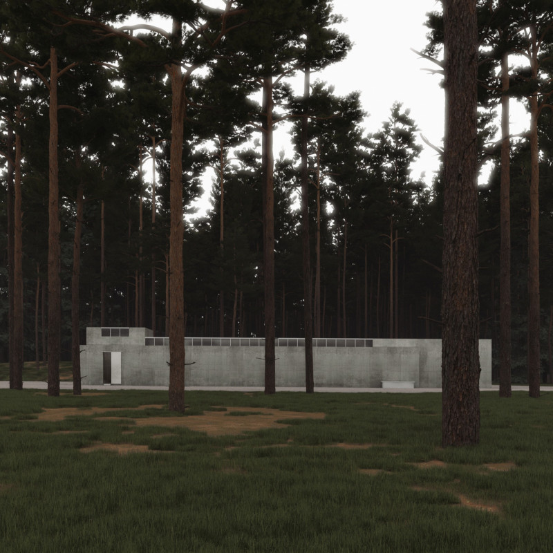 Natural Light and Concrete Texture Create a Serene Reflection Space Embedded Within a Forested Environment  