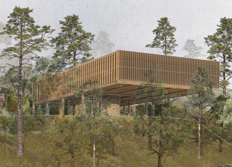 Forest-Centric Spaces Crafted From Cross-Laminated Timber Panels and Charred Wooden Shingles  